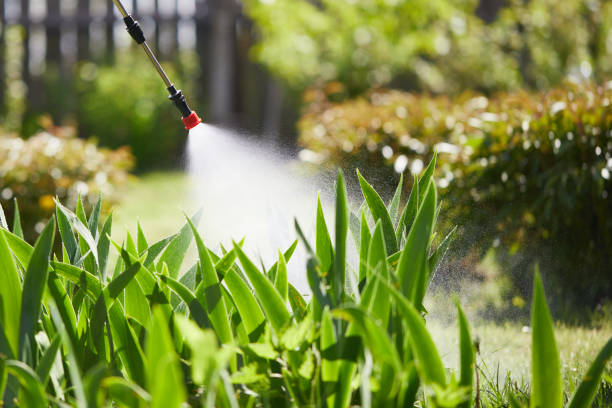 Void Injection for Cockroach Colonies in Village Green