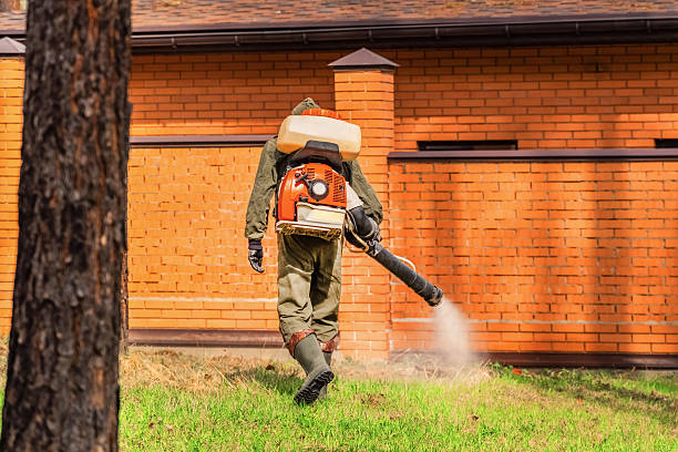 Cockroach Follow-Up and Monitoring in Village Green